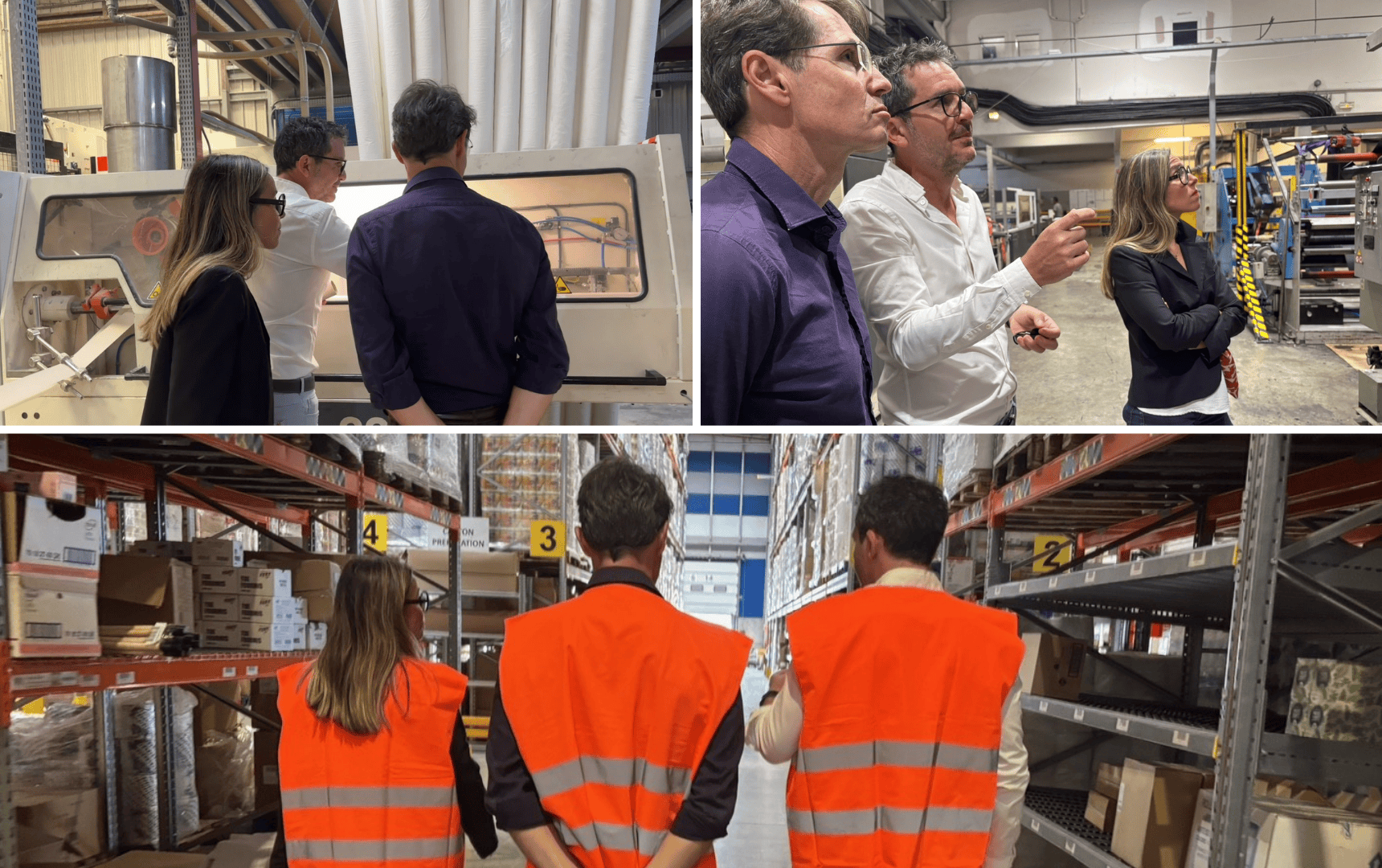 visite vega