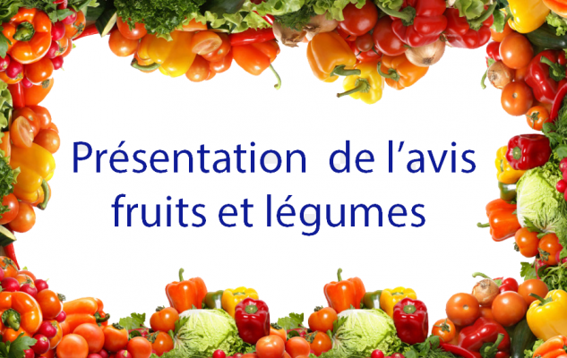 Présentation de l'avis sur l'organisation de la filière des fruits et légumes