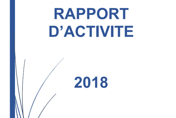 L’Autorité de la concurrence de la Nouvelle-Calédonie publie son premier rapport annuel relatif à l’année 2018. 