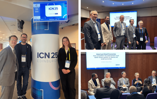 ICN 2025