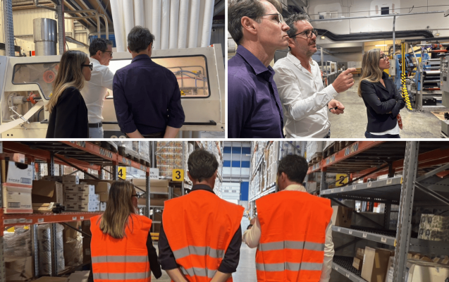 visite vega
